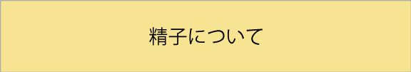 精子について